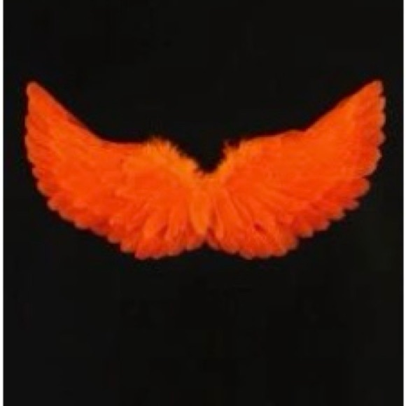 Angel & Devil Feather 
Wings & gloves - Picture 4 of 7